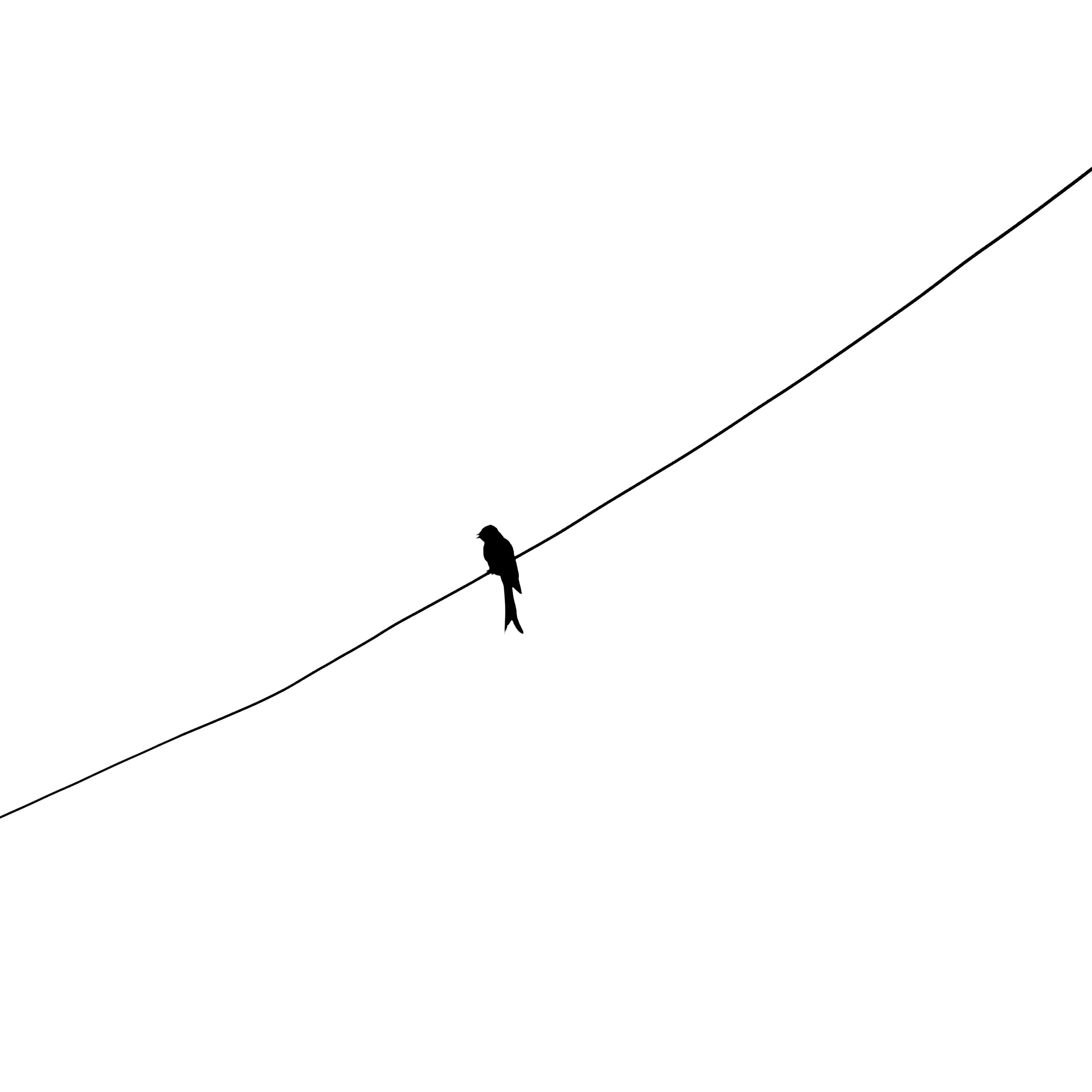 Business growth visualization
